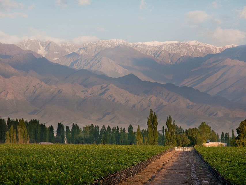 Zuccardi_Concreto_Malbec_2022_WBSS24_1